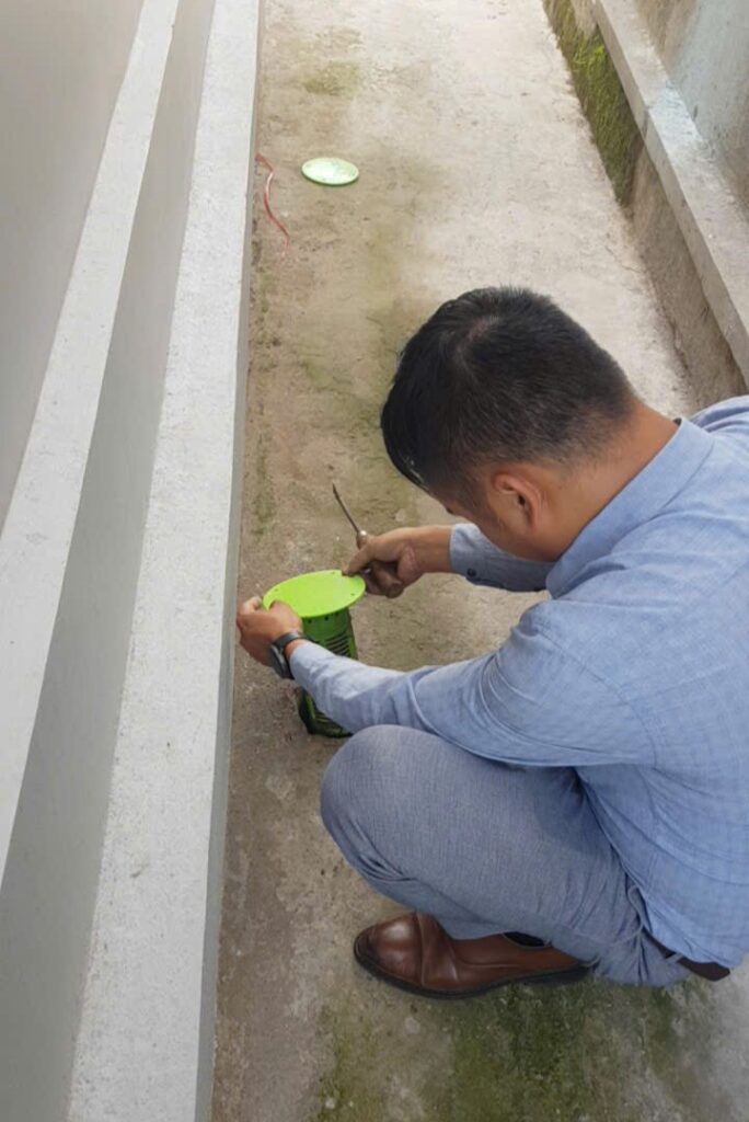 đặt bả diệt mối