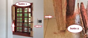 diệt mối bằng phương pháp sinh học ở lý nhân