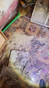 Mối đất xâm nhập nhà dân ở Nam Trực từ nền đất ẩm