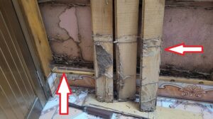 Mối đất ở Nam Định làm tổ sâu khiến việc xử lý sai rất dễ tái phát