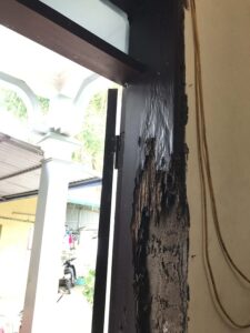 Nhà dân xây trên đất ruộng tại Lý Nhân dễ bị mối làm tổ dưới nền